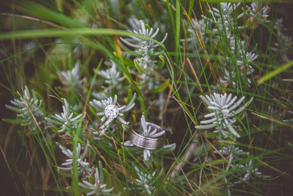 wedding rings at nothern michigan wedding