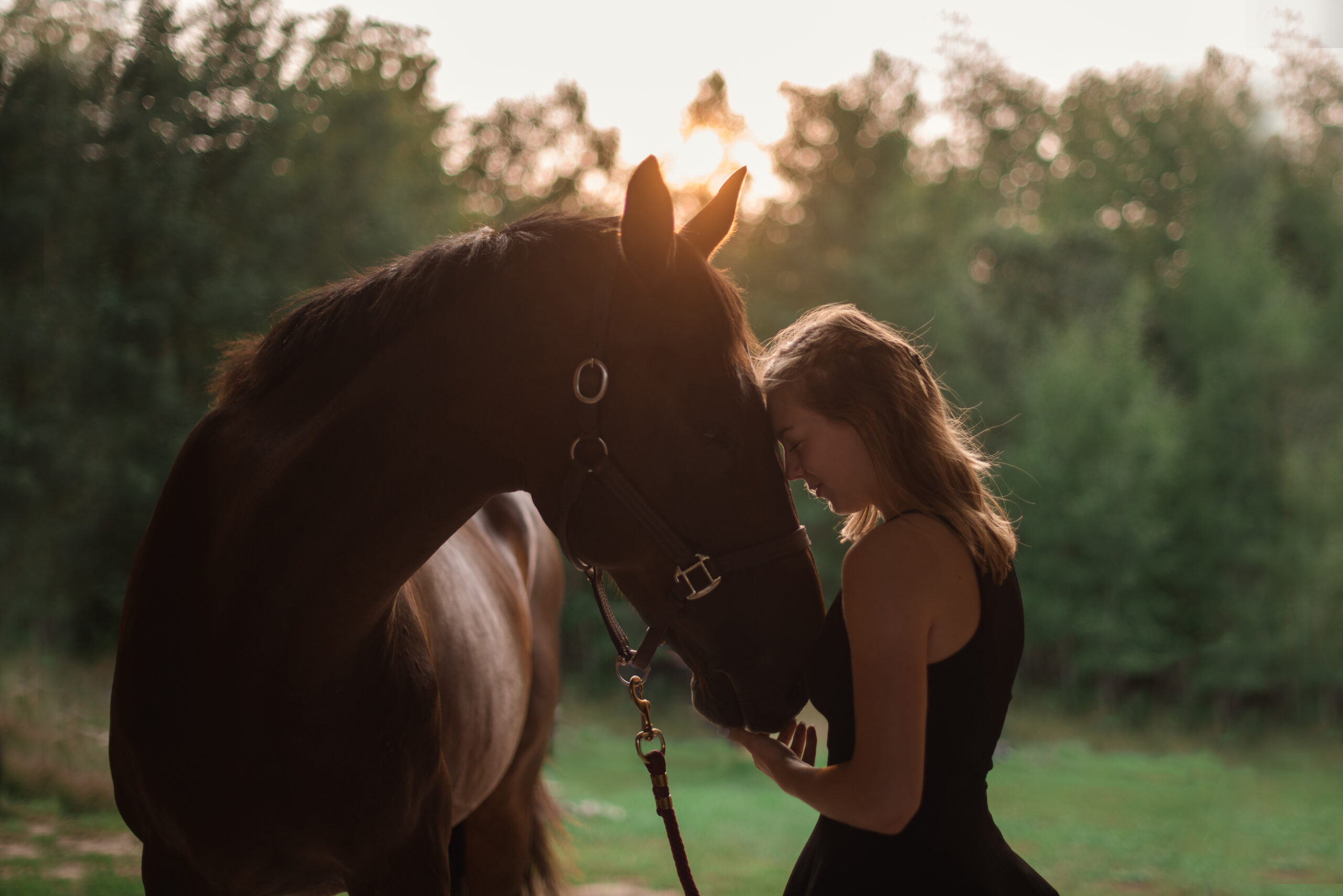senior photo of girl with horse in traverse city michigan