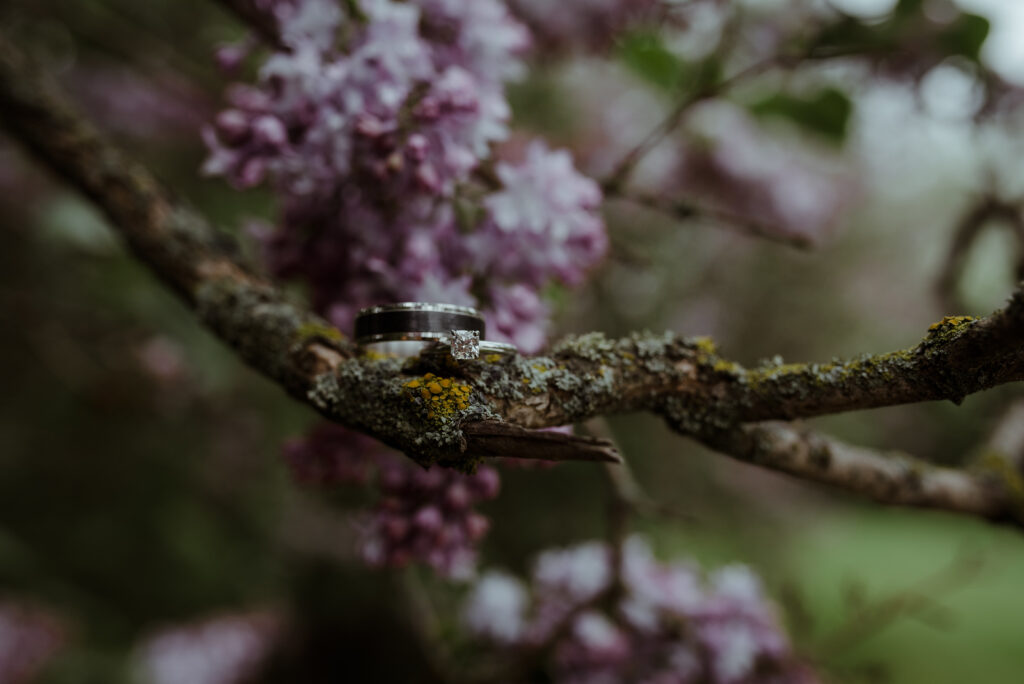 wedding rings in northern michigan spring wedding