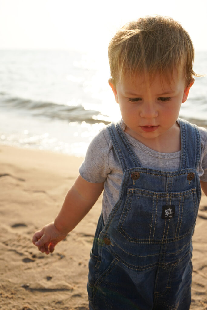 northern michigan family photography