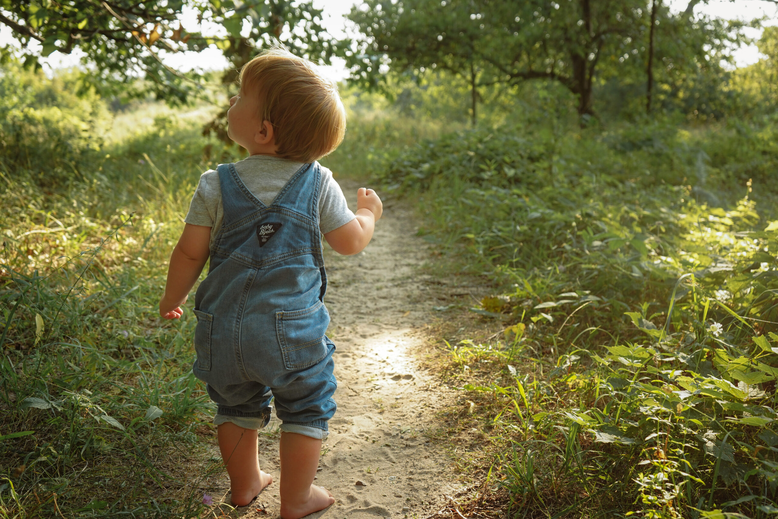 little boy in forest during photos in empire michigan traverse city potographer