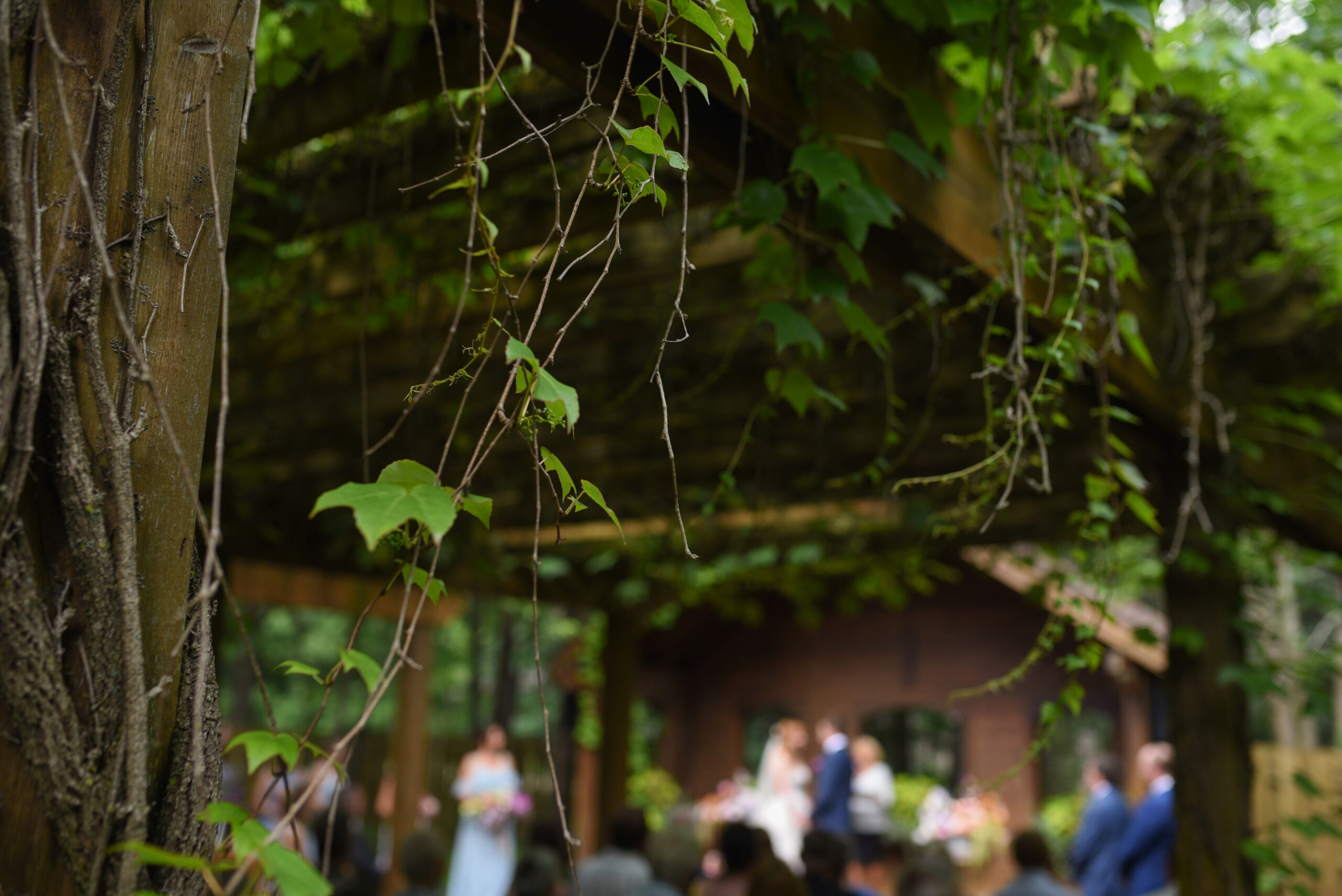 ceremony at wedding in traverse city michigan Northern Michigan Wedding Photography