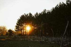 fine art image of sunset by lina lavonne photography a traverse city photographer