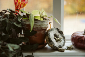 fine art image of cottage by lina lavonne photography a traverse city photographer