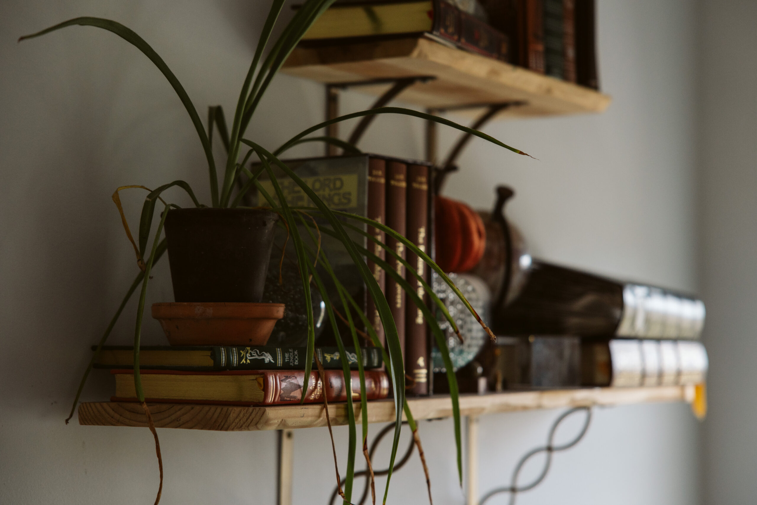 fine art image of cottage by lina lavonne photography a traverse city photographer