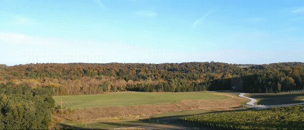 drone footage of late summer landscape during golden hour in leelenau county at aurora cellars. Gif by traverse city wedding videographer