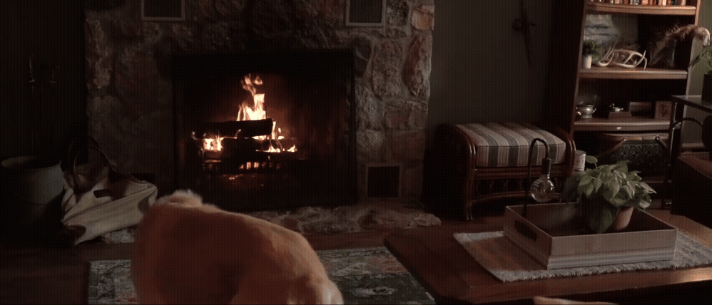 dog walking past fireplace at wedding venue in fielguide farmhouse in central lake. Gif by traverse city wedding videographer