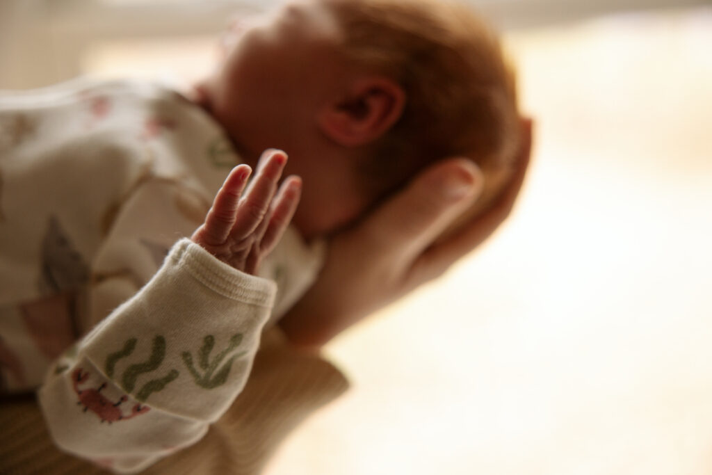 close up of newborn babys hands at a newborn photo session in traverse city michigan