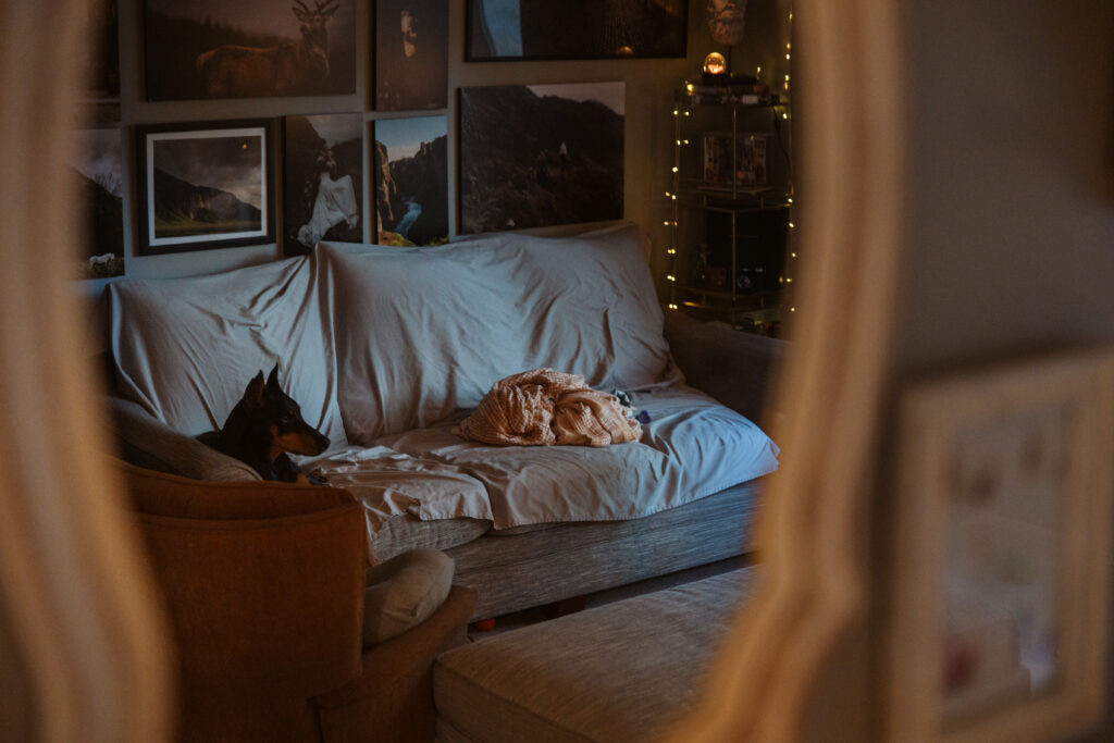 doberman dog standing in living room during newborn photos in traverse city. Photo by Traverse City Photographer Lina Lavonne Photography