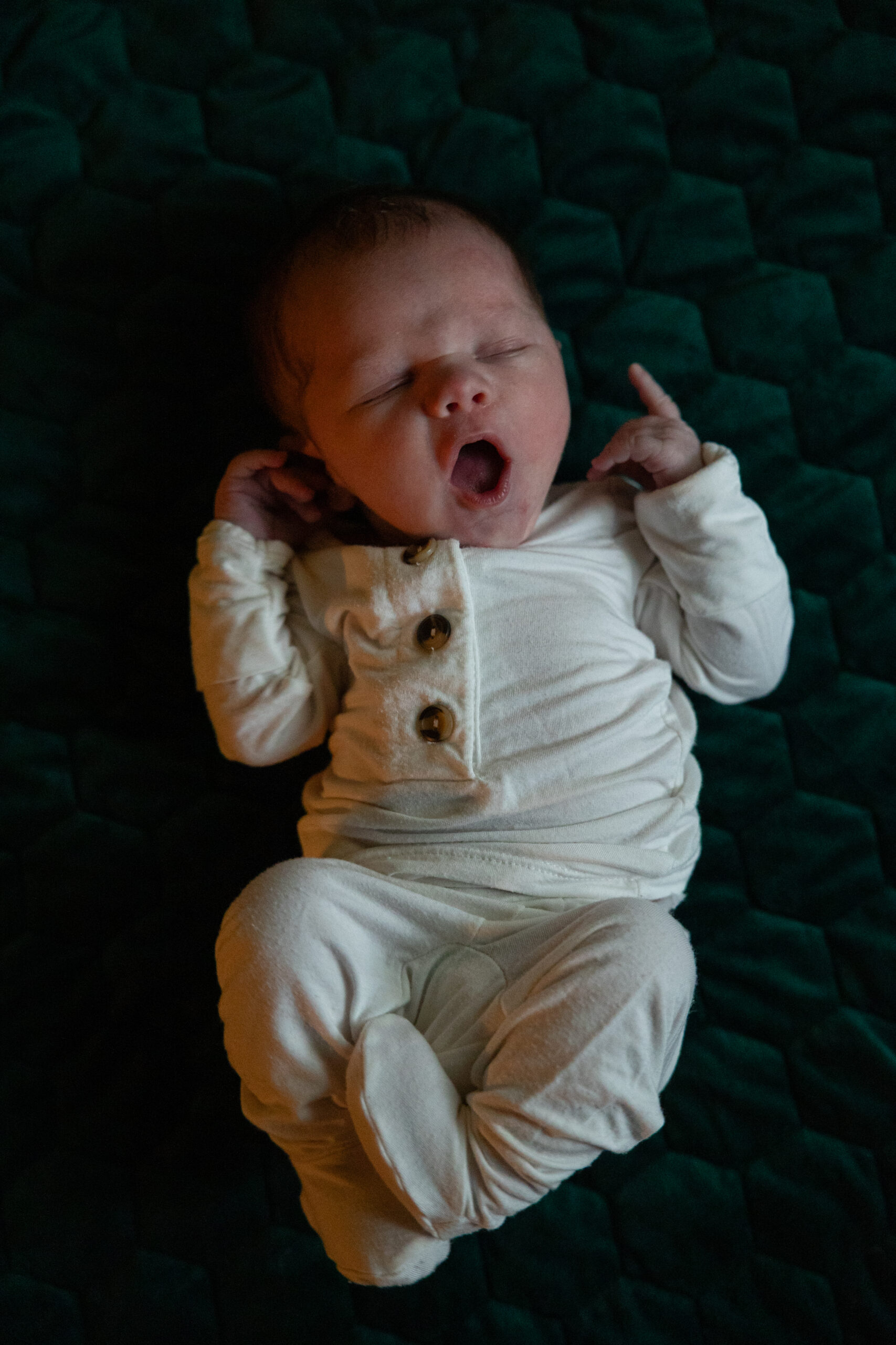 baby laying on green blanket during newborn photos in traverse city. Photo by Traverse City Photographer Lina Lavonne Photography