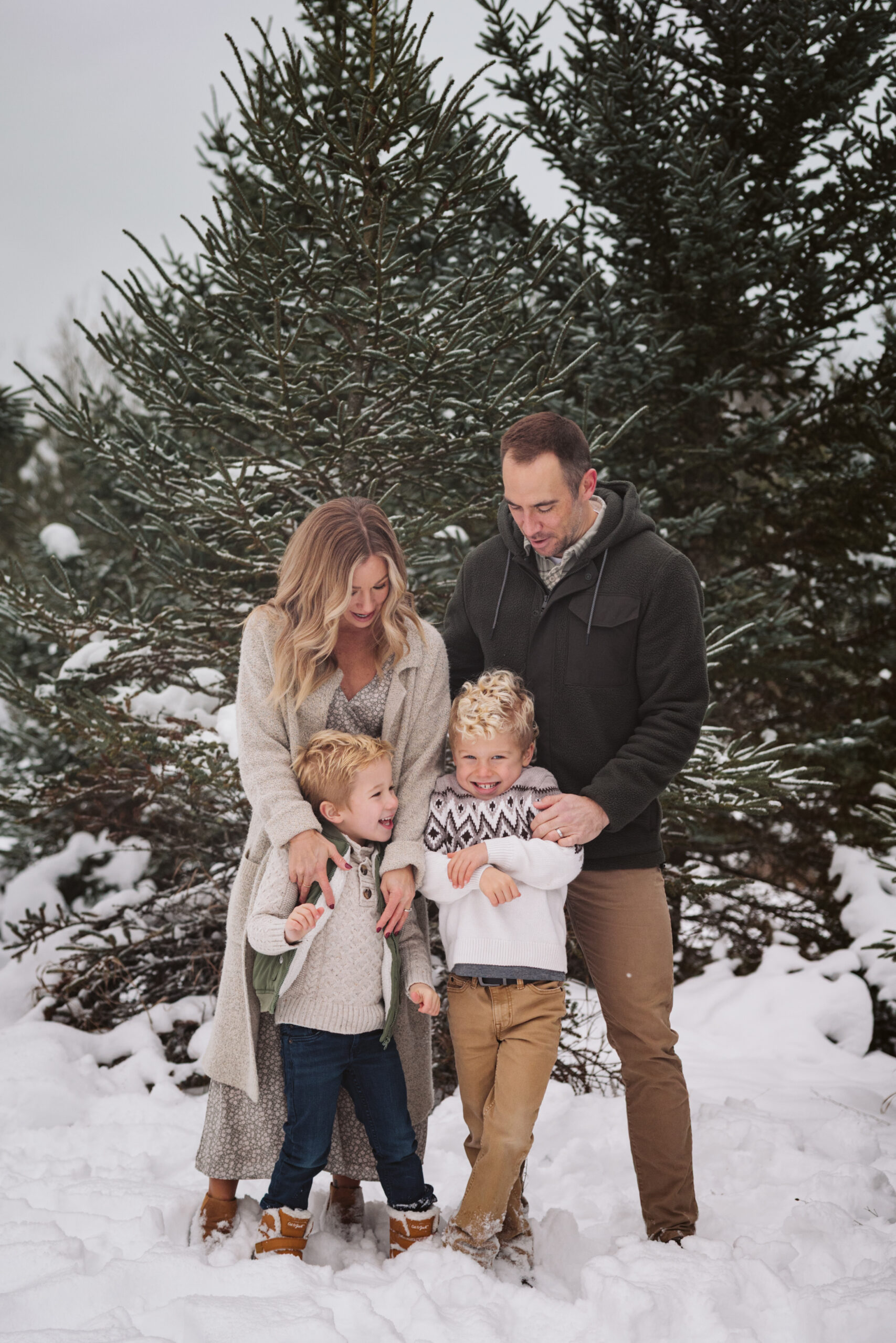 family of four laughing together during christmas photos in traverse city