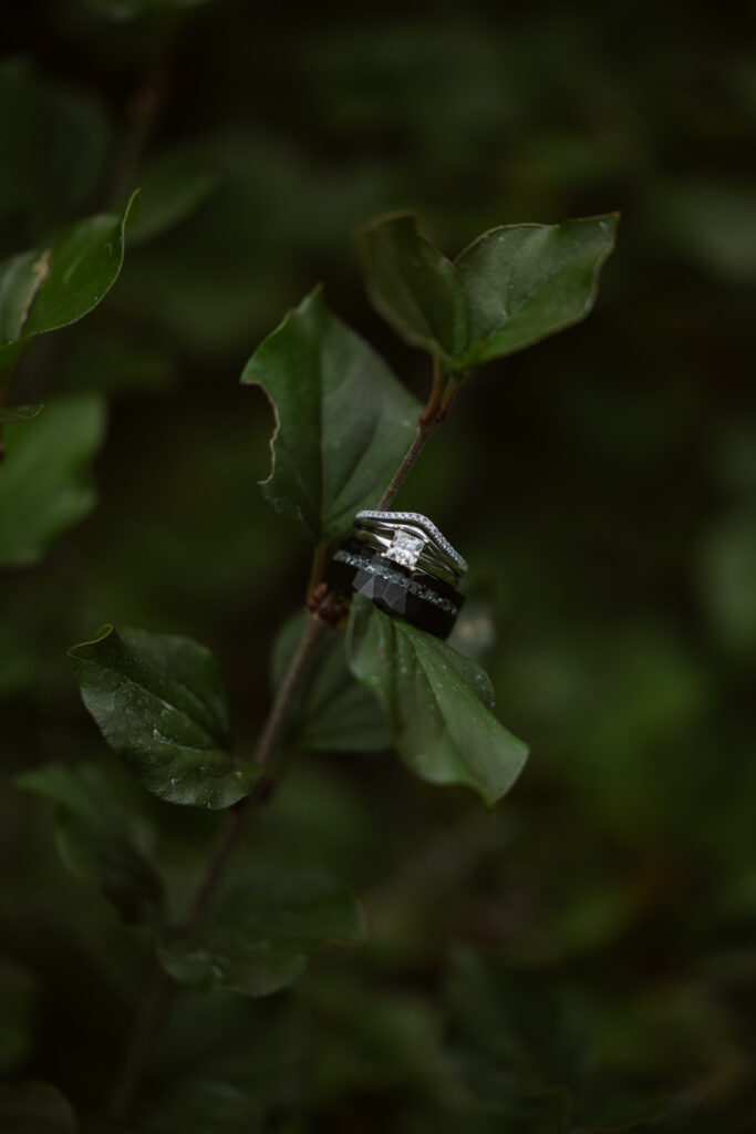 wedding rings hanging on greenery at traverse city wedding