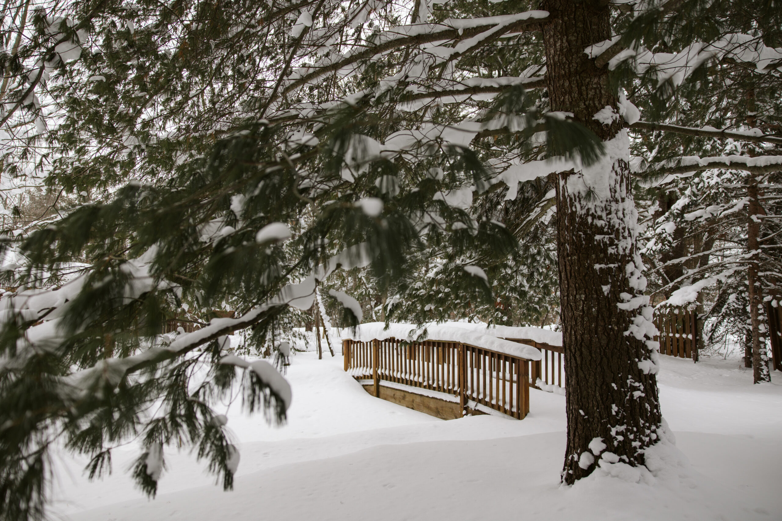 blue bridge event center wedding venue in grawn michigan. photo by traverse city wedding photographer
