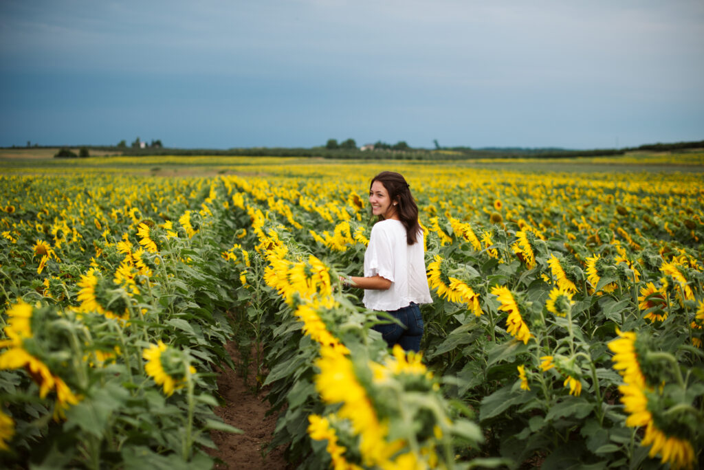 high school senior walking through sunflowers in elk rapids