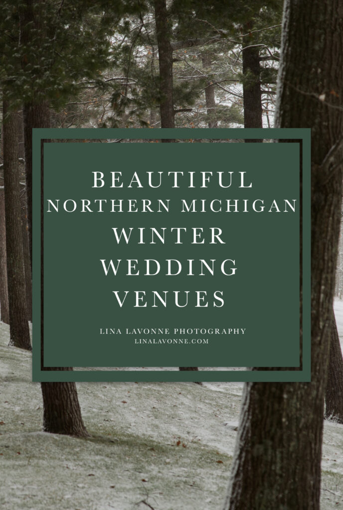 northern michigan snowy woods with words beautiful northern michigan winter wedding venues