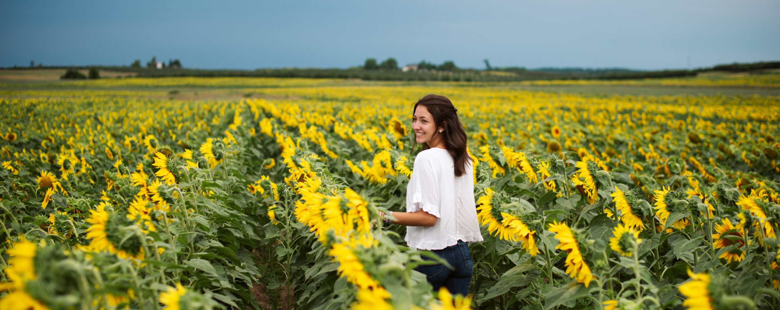 high school senior walking through sunflowers in elk rapids