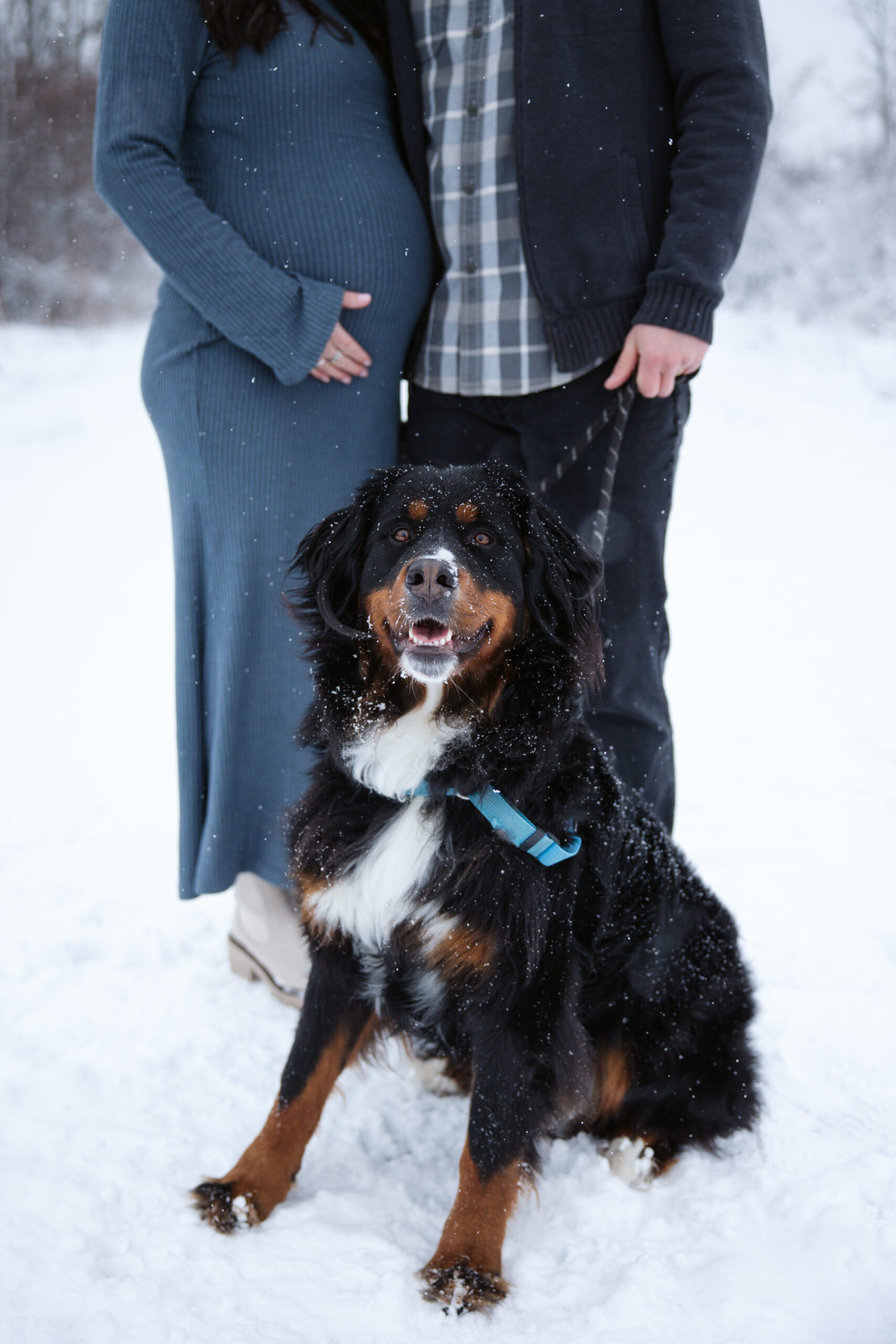 man and woman in the snow during winter maternity photos in traverse city michigan