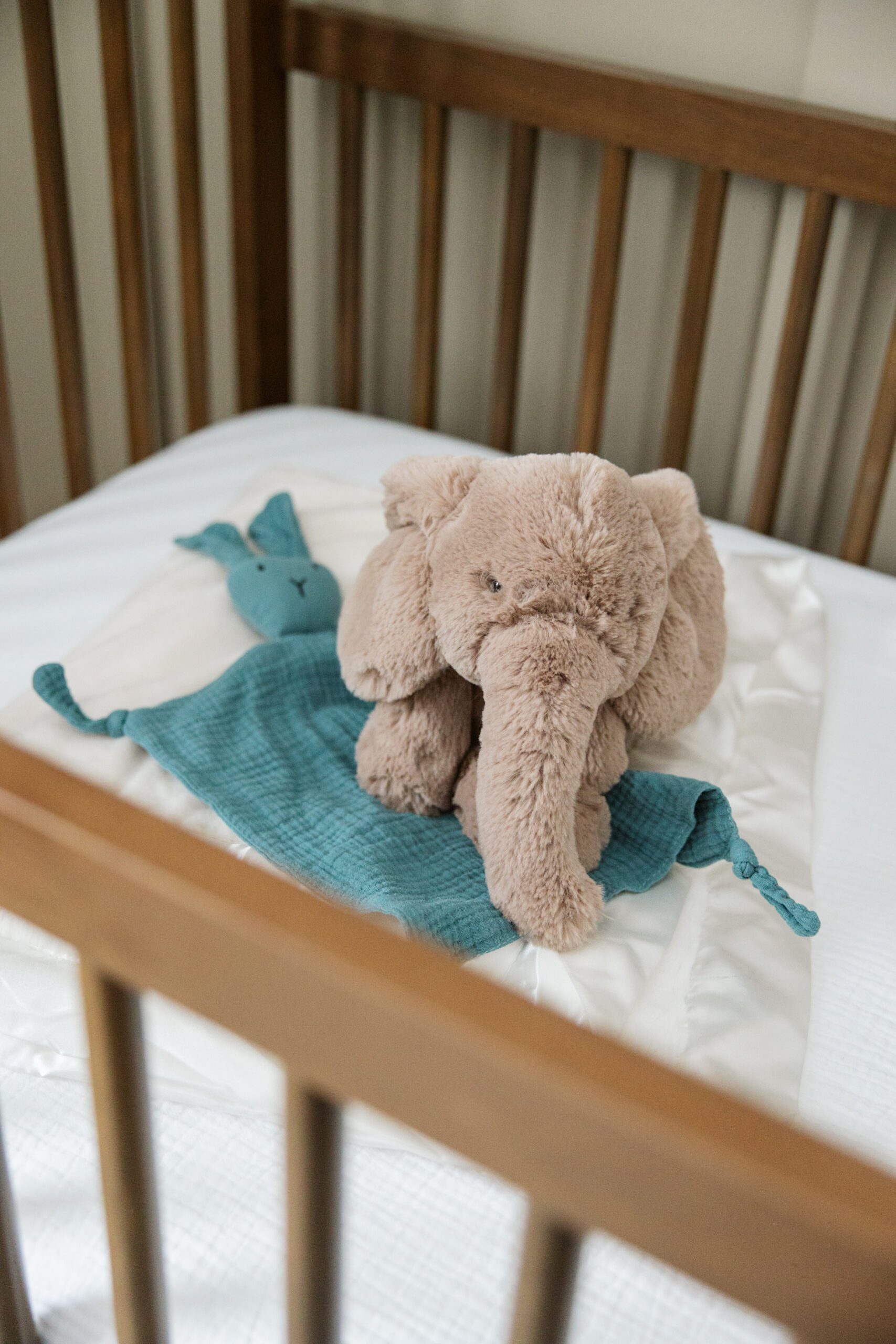 baby crib with stuffed animals durning home maternity photos in traverse city michigan