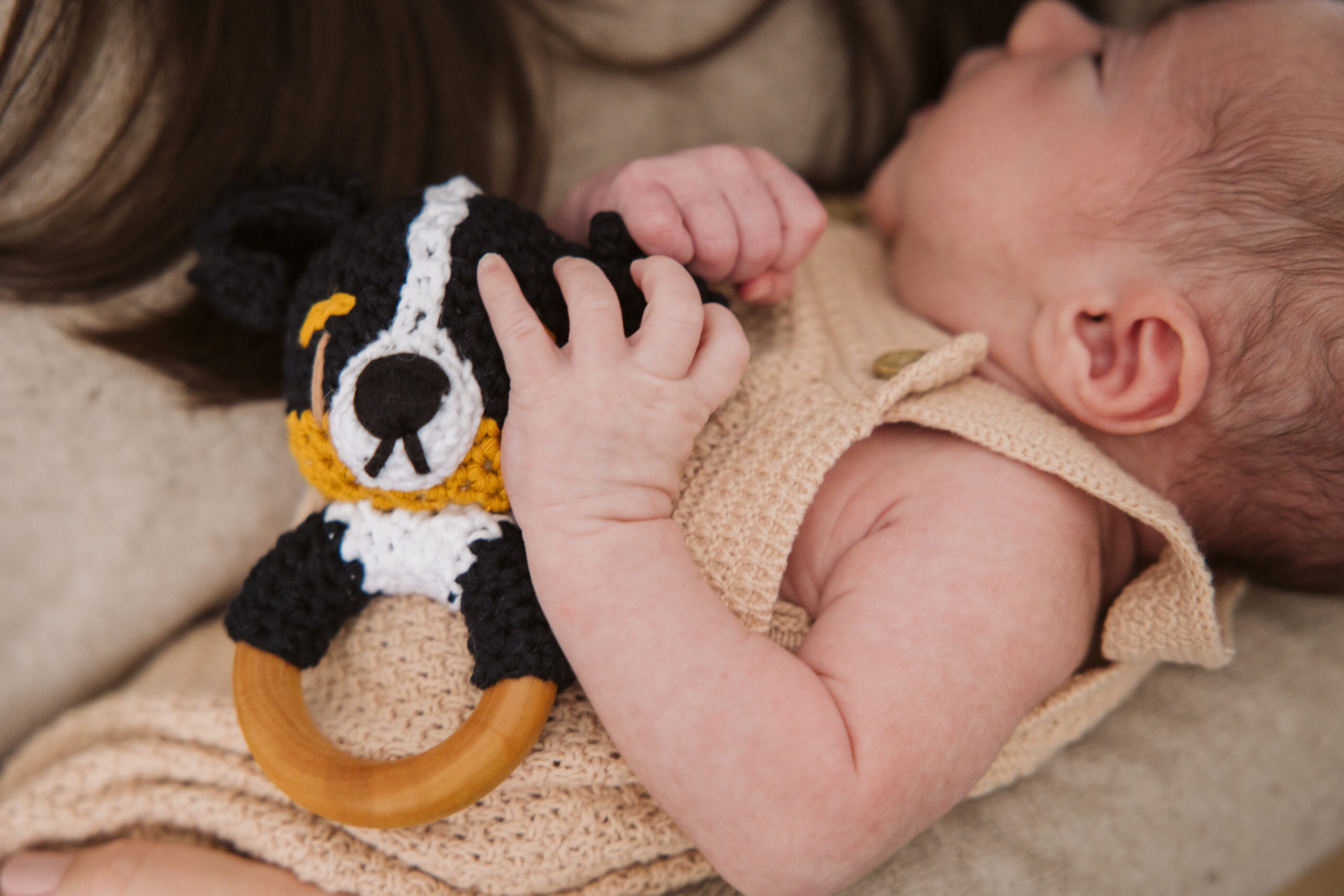 Traverse-city-michigan-newborn-photographer baby rattle in baby's arms during newborn family photos in traverse city