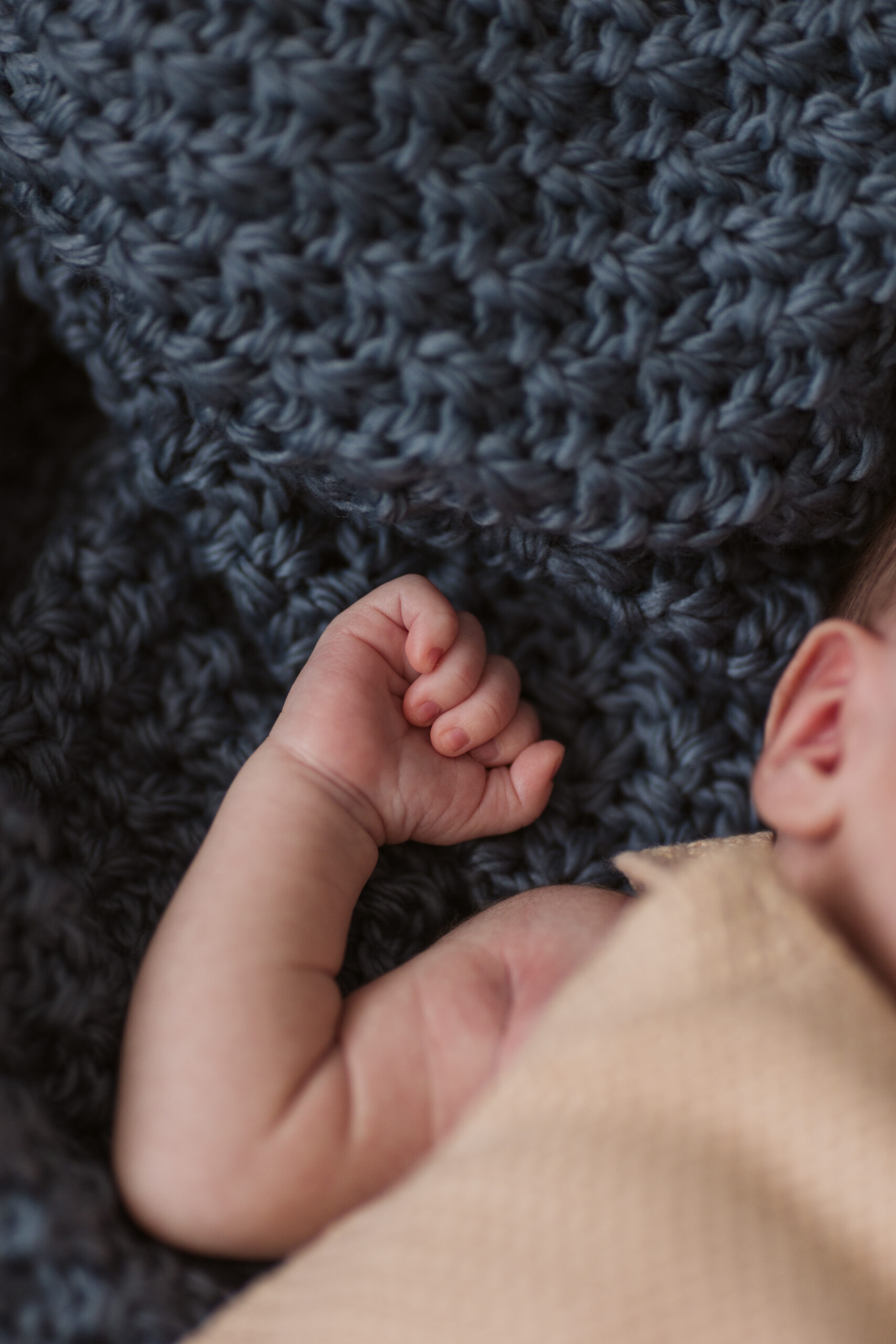 Traverse-city-michigan-photographer baby hand during newborn family photos in traverse city