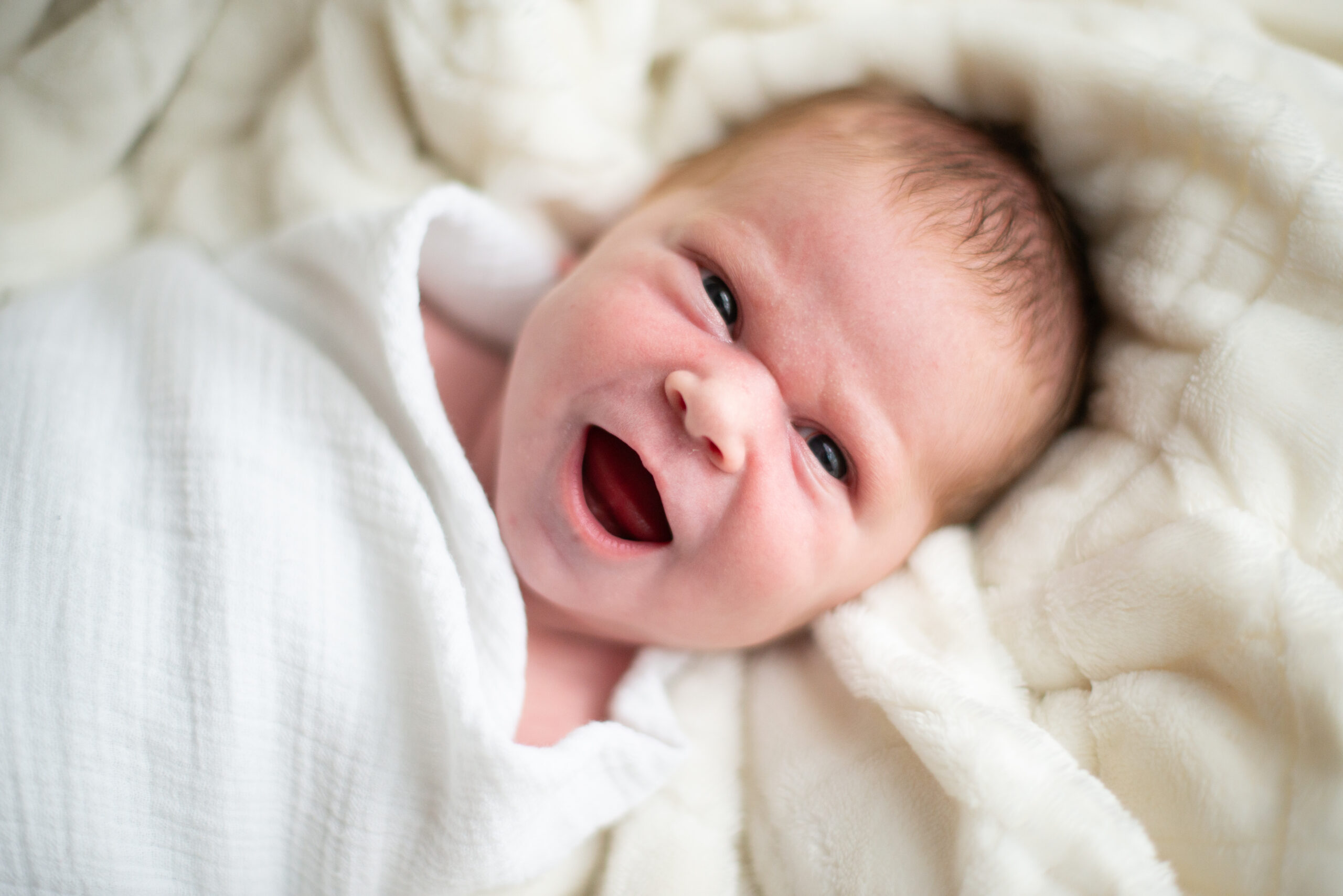 baby girl during newborn photos in traverse city northern michigan photographer