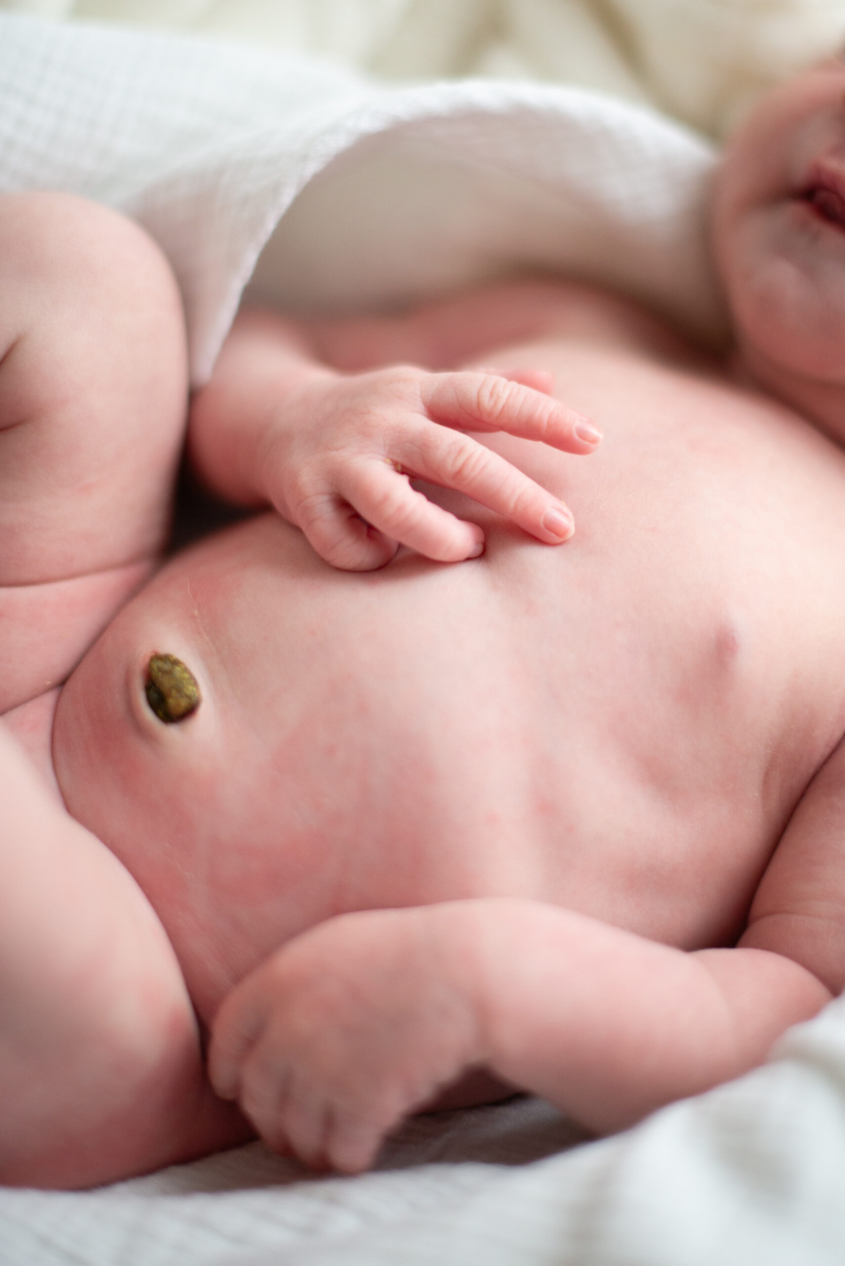 baby girl during newborn photos in traverse city northern michigan photographer