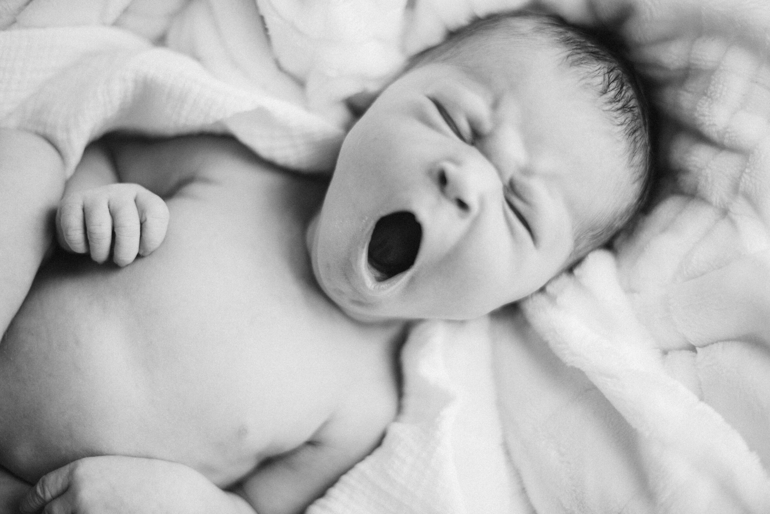 baby girl during newborn photos in traverse city northern michigan photographer