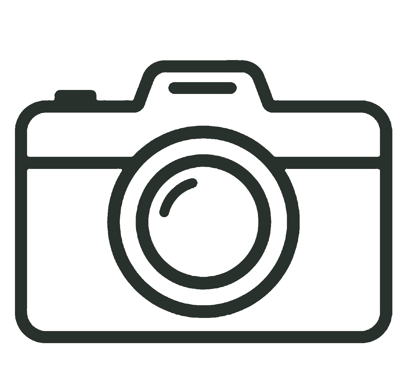 traverse-city-videographer-photographer camera and video icon for lina lavonne photography and videography traverse city photographer