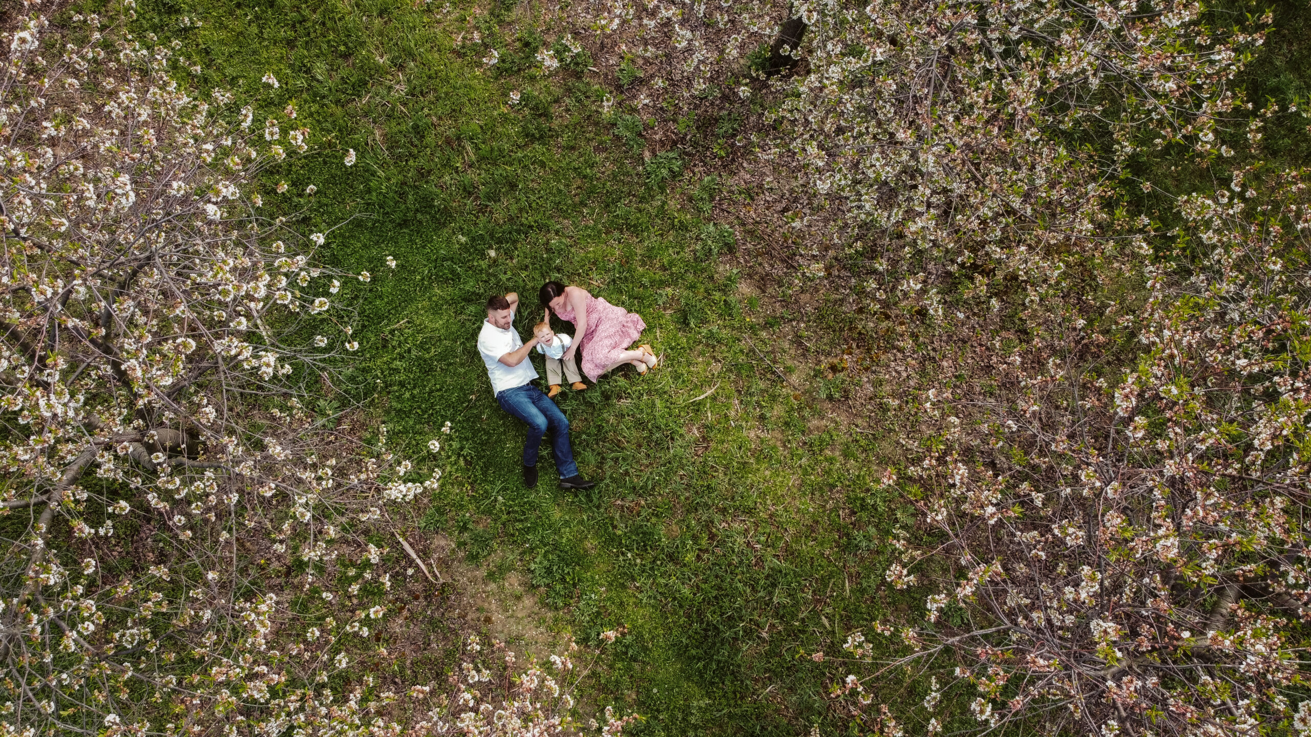 drone family photo during empire blossom photos