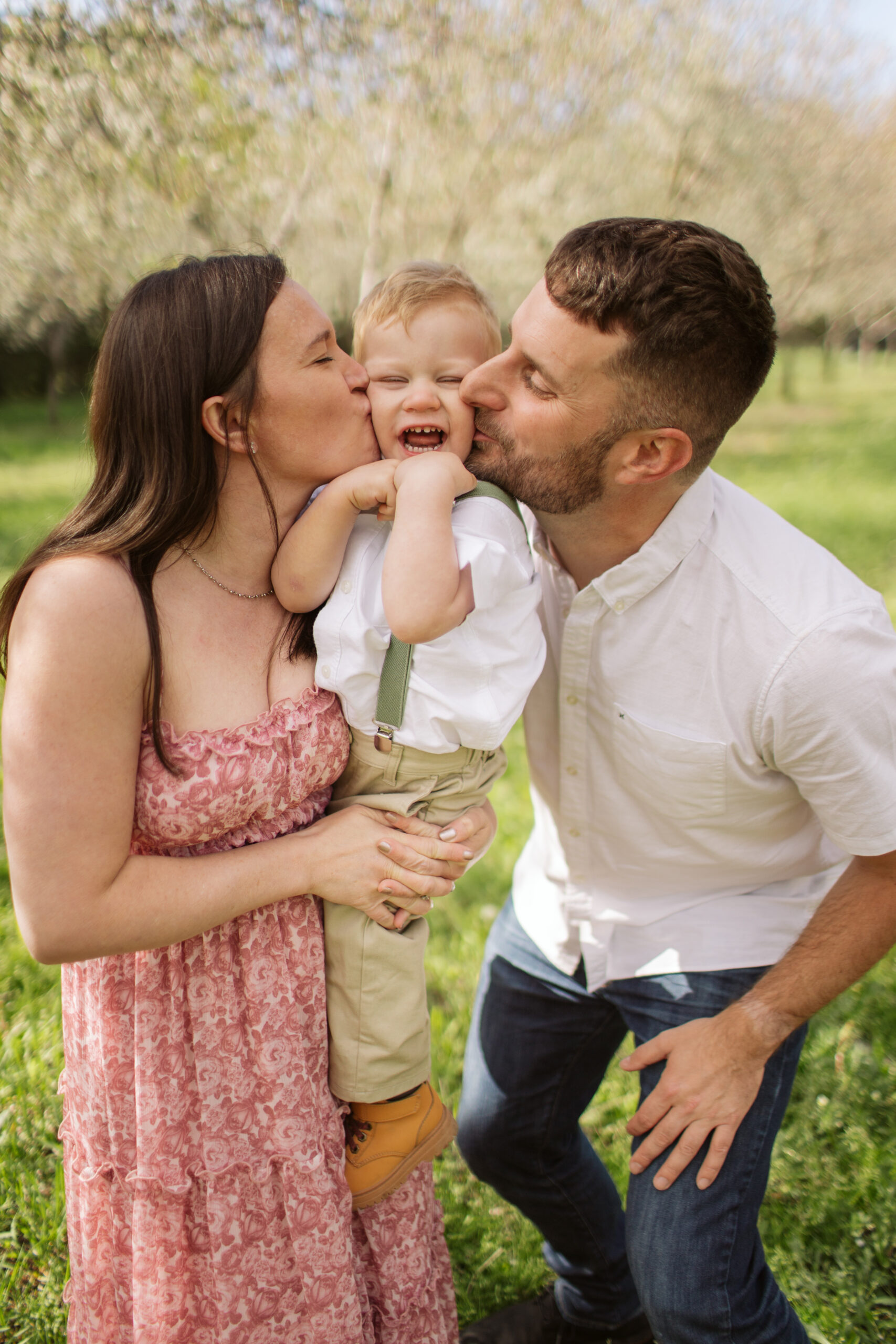 family kissing little boy during blossoms in empire michigan family session